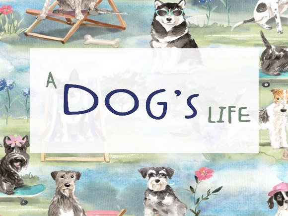 A Dog's Life
